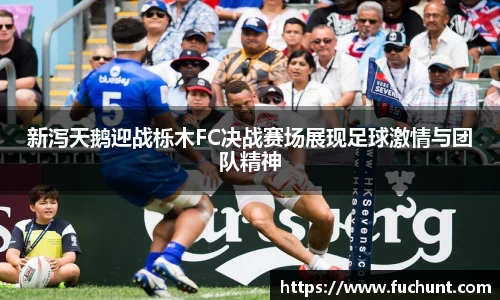 威廉希尔williamhill中文