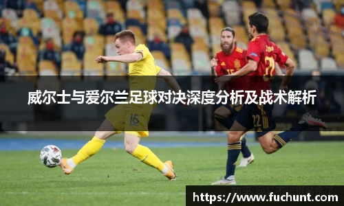 威尔士与爱尔兰足球对决深度分析及战术解析