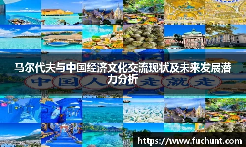 马尔代夫与中国经济文化交流现状及未来发展潜力分析